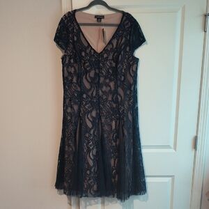Elegant Navy Lace Dress
